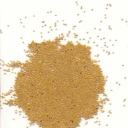 Gorczyca Biała 340 Eur/Tona